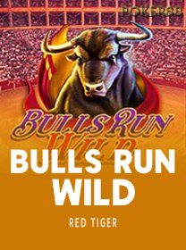 Bulls Run Wild icon